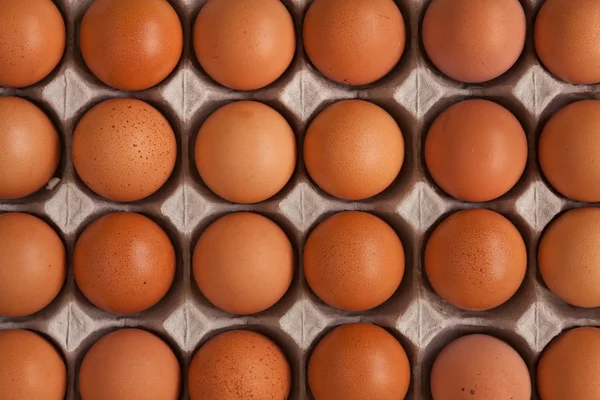 Ряд яиц — стоковое фото