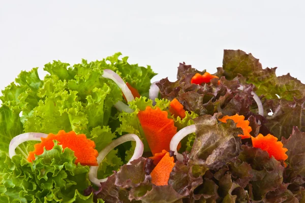 Zdravý zeleninový salát — Stock fotografie