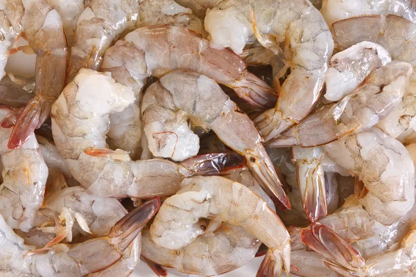 Raw Shrimp — Stock Photo, Image