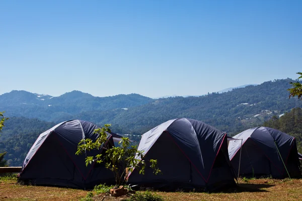 stock image Camping Tent