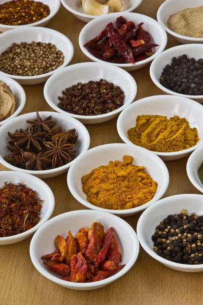 Collection of spices. — Stock Photo, Image