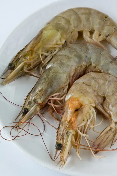 Raw Shrimp — Stock Photo, Image