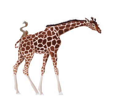 Giraffe clipart