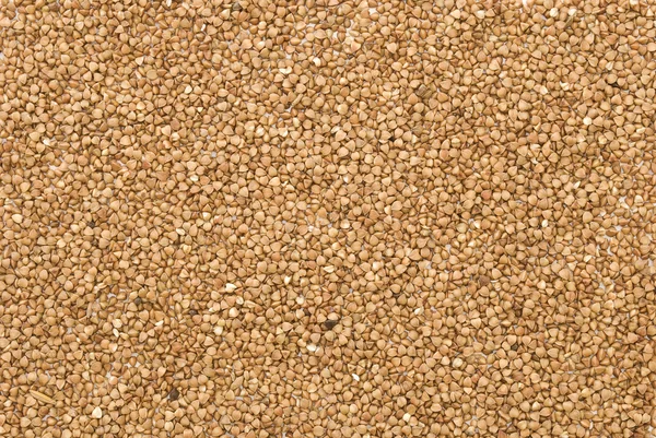 stock image Buckwheat groats