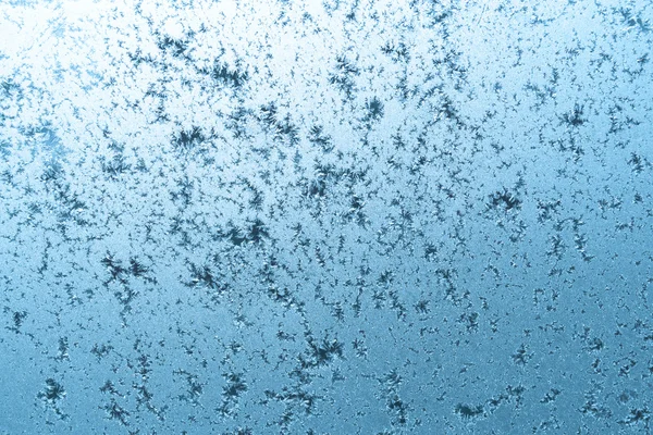 stock image Frozen winter window