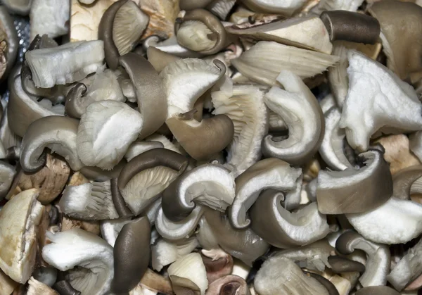 stock image Sliced oyster mushrooms