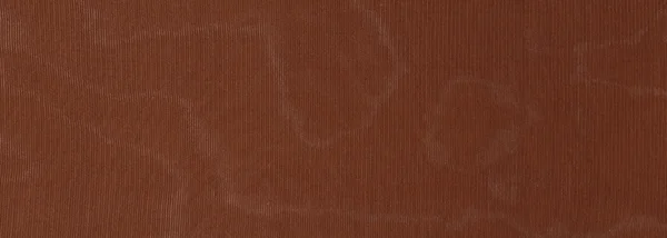 Bunte Strumpfhose Textur verwendet wie Hintergrund — Stockfoto