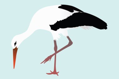 Storks clipart