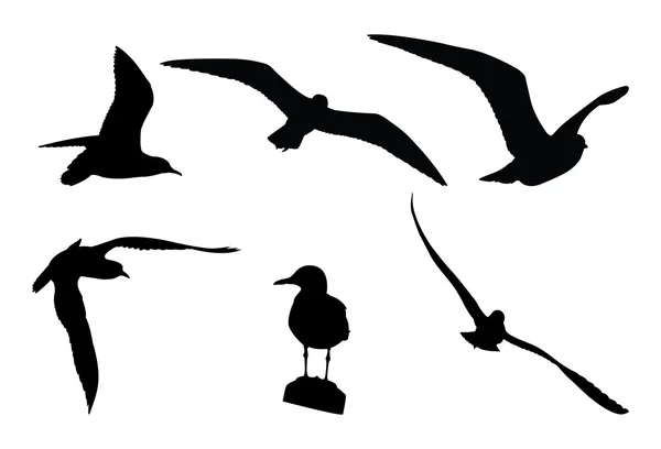 Gaviotas — Vector de stock