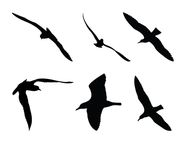 Gaviotas — Vector de stock