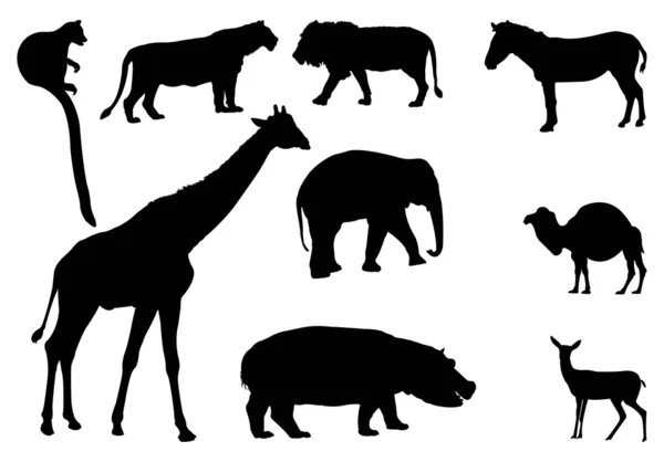 Afrikaanse dieren silhouetten — Stockfoto