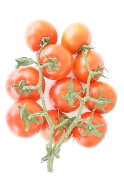 stock image Fresh tomato