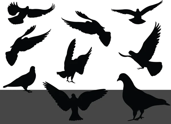 Силуэты голубей — стоковый вектор