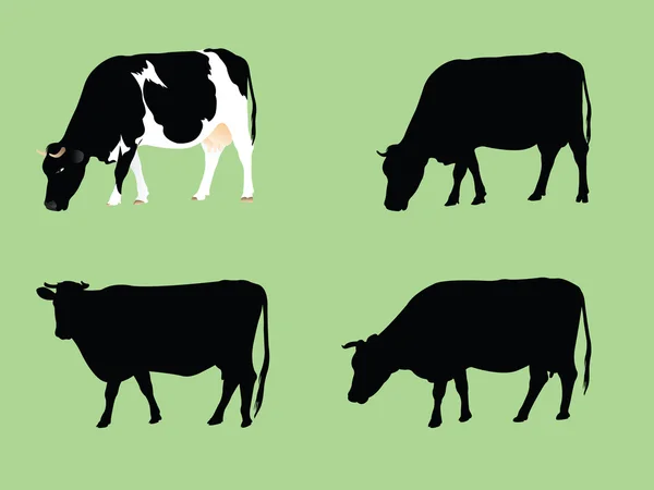 Grassing cows — Stock Vector