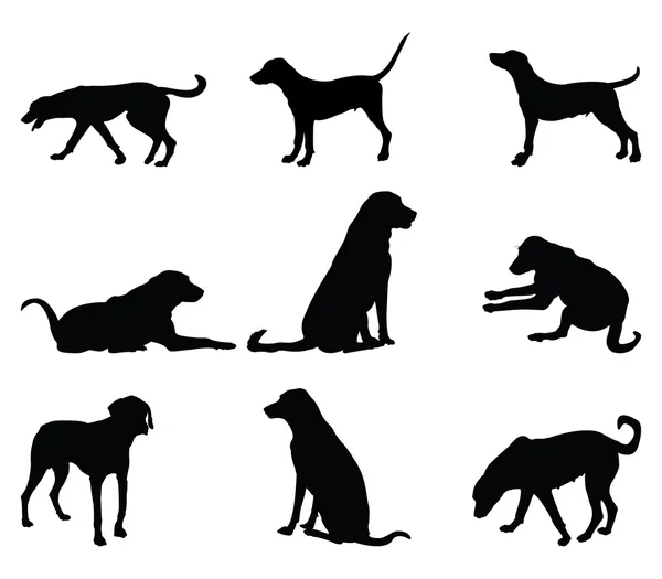 Hundesilhouetten — Stockvektor