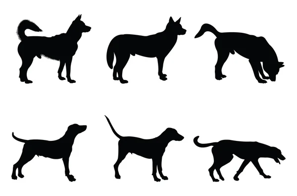 Silhouettes pour chien — Image vectorielle