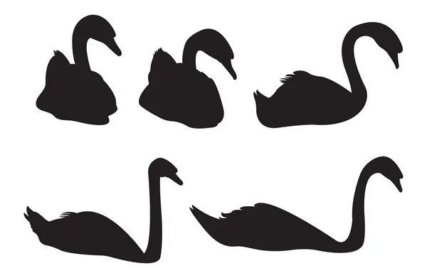 Swan silhouettes — Stock Vector