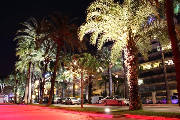 stock image Cannes by night.