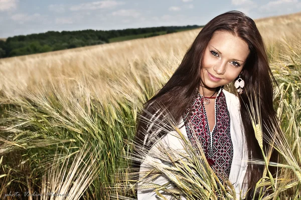 Portrait of pretty woman in the field Royalty Free Stock Photos