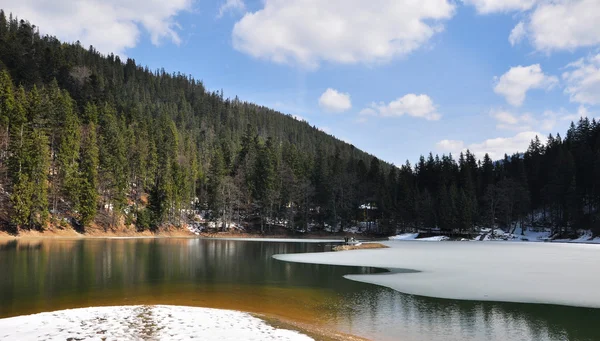 Jezero synevyr — Stock fotografie