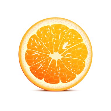 Orange vector illustration clipart