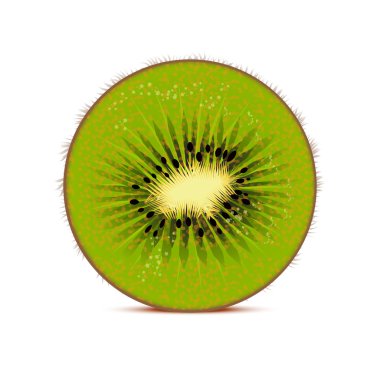 Kiwi vector illustration clipart