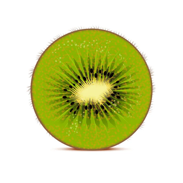 Kiwi vector illustration — Stock Vector