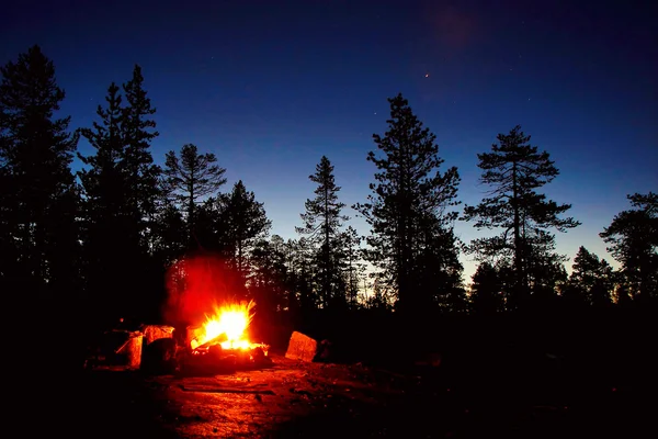 Tűz ég éjjel az erdőben — Stock Fotó