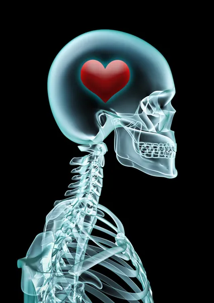 Рентгеновская любовь — стоковое фото