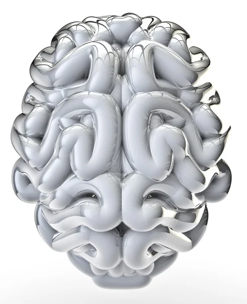 Bílý lesklý mozek — Stock fotografie