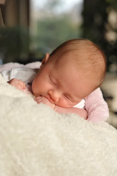 Newborn resting — Stock Photo, Image