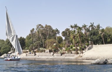Botanik Bahçesi, aswan, Mısır.