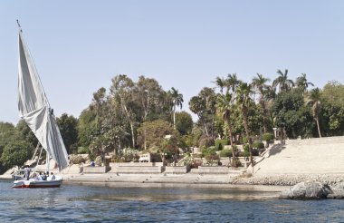 Botanical garden, Aswan, Egypt. clipart