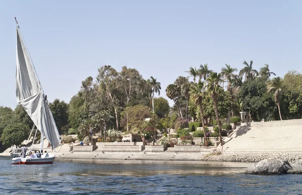 식물원, 아스완, 이집트. 스톡 이미지