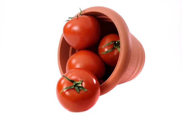 一些番茄的塑料桶 — 图库照片