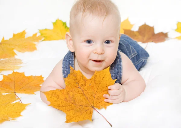 Little boy and maple leaf — Stock Photo, Image
