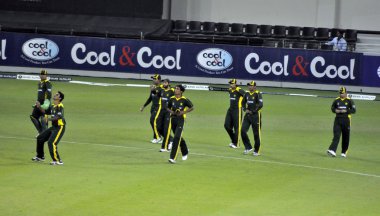 Full Pakistan Team clipart