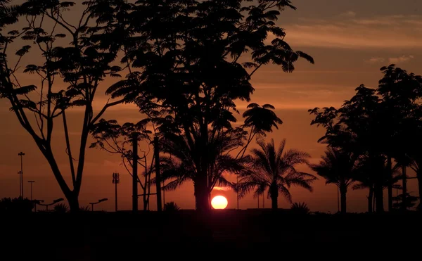 stock image Sunset in Abu Dhabi