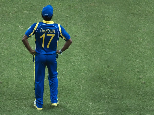 SriLankan krikettjátékos — Stock Fotó