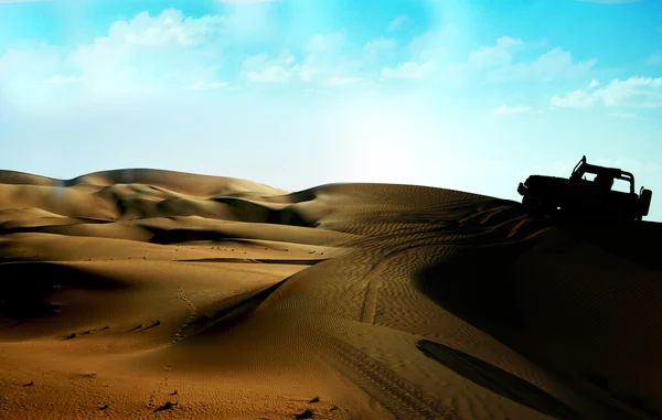 stock image Desert Safari