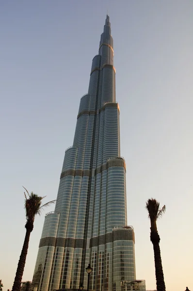 Burj Dubai palm tree — Stock Photo, Image