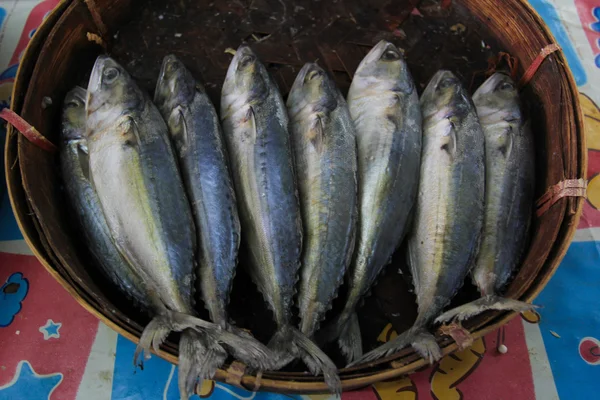 Peixe no cesto — Fotografia de Stock