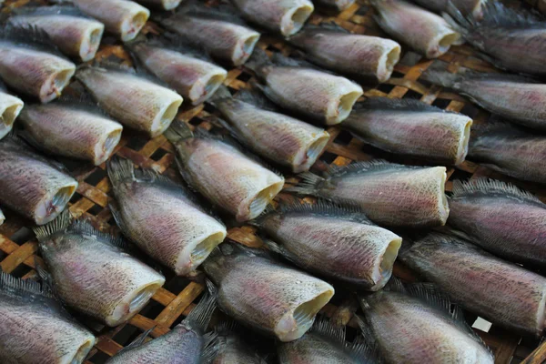Сушеная рыба на рынке. — стоковое фото