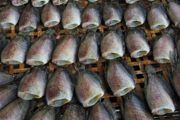 Сушеная рыба . — стоковое фото