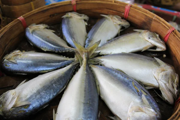 Steamed mackerel in basket — Stock Photo, Image