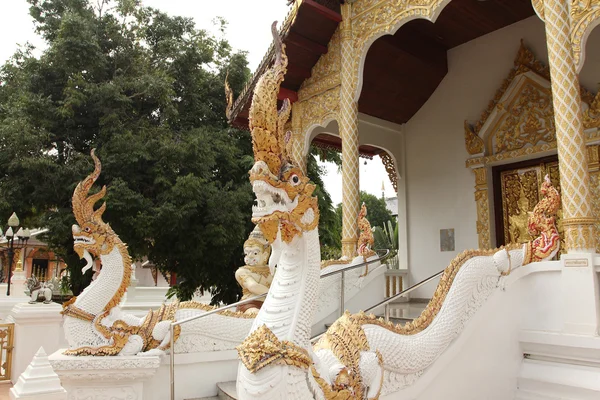 Weiße Schlange im Tempel. — Stockfoto