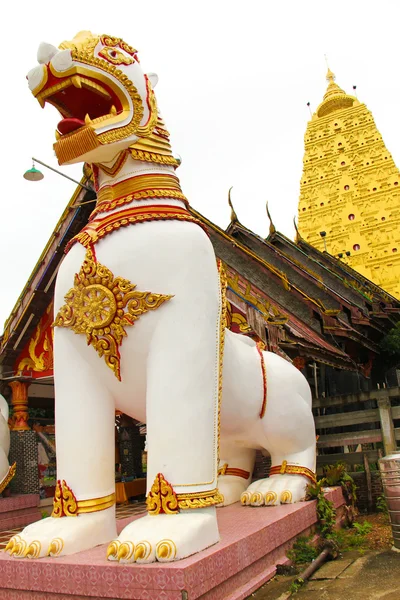 Leão branco no templo — Fotografia de Stock