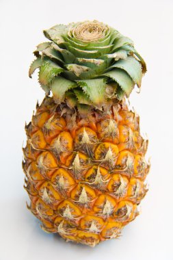 Ananas Meyve