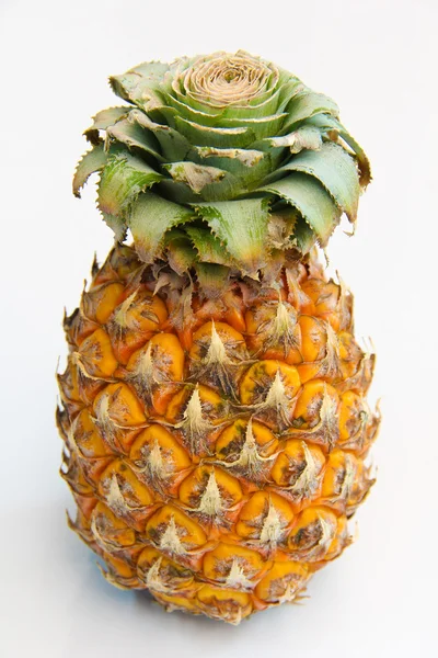 Ananas Meyve