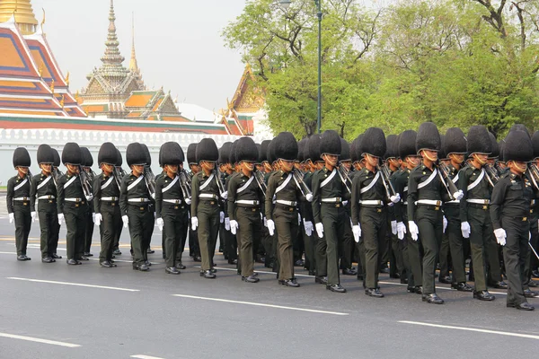 Soldier full-dress procession thailand — Stock Photo, Image